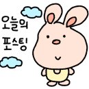 다홍연화 이미지