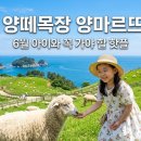 6월의 목장 | 남해 양떼목장·양마르뜨언덕, 아이들과 꼭 가야 할 6월의 핫플!