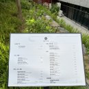 [술집] 대흥 이자카야/ 신수동 이자카야 분위기 좋은 술집 추천 - 물고기집