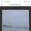 최경주홍화팜
