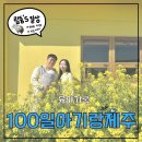 소프트P.J | [ 上 ] 100일 아기랑 제주도여행 2박3일 후기 🍊