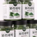 콩보리네 이미지