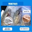 민어나라 이미지