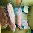 진현유통 이미지