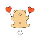 테디 케이짐 이미지