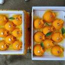 시은농장 이미지