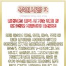 석보식품