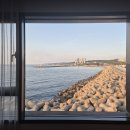 223 이미지