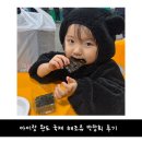 해조 | 아이랑 2026 완도 국제 해조류 박람회 후기
