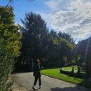 다원포레스트독채펜션 이미지