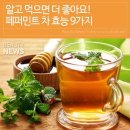 🍀 페퍼민트 차 효능 9가지 🍀 이미지