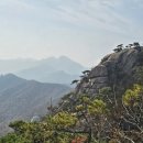 에덴산장 이미지