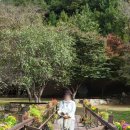 우곡성지 내 이미지