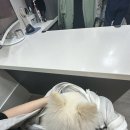 정다운종합동물병원 네이버블로그