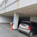 양덕동마카롱