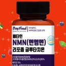 노마셀 이미지