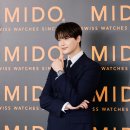 미도아트