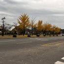 씨엘모텔 이미지