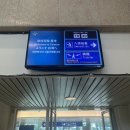대만 여행 1일차 타이베이 공항 우육면 국립고궁박물관 서문정 망고빙수
