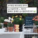 십시일반 | 십시일반마켓 in 제민천 / 올해도 함께한 십시일반마켓 후기🌿 공주꽃집 공주시꽃집 제민천꽃집 꽃하이