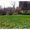 서부로(3-190) 이미지