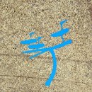 바우길 11구간 이미지