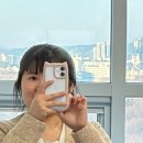 무선중학교 | I Phone 17 CASE | 케이스온데이, 핑꾸핑꾸한 고양이귀 아이폰 범퍼 케이스 후기