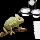 애완상회 이미지