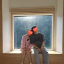 스테이 봉정 | [강원정선-2] 초록초록 예쁜 숙소와 옥수수 | 동광식당, 스테이봉정