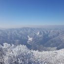 yes예스공인중개사사무소 이미지