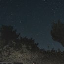 제주숲게스트하우스