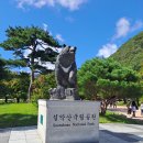 설악산파크 | 설악산 대청봉 갔냐고? 울산바위가 다야