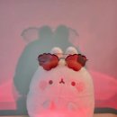 강남-132 이미지