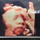 루시나산부인과의원 | 성북구 산부인과 어디로? 햇빛병원 우리기쁜 루시나