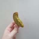 쿠키당구장 이미지