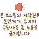 병아리김밥시흥