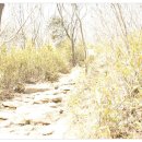 (주)대광이앤씨 이미지