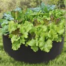 텃밭가든 | 화분 부직포 커버 초록가든 베란다 텃밭 상추 키우기 화분 후기