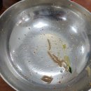 흥부네메밀소바막국수 이미지