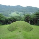삼한국대부인순흥안씨묘 Daum카페