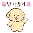 다올레 이미지