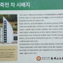 지천에