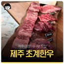 7331 | 제주 대정 바다뷰 맛집, 제주 초계한우 내돈내산 후기 (한우갈비한마리)