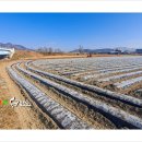 본포수변공원(주차장) 이미지