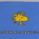 (주)복은 이미지