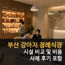 부산전문장례식장 | 부산 강아지 장례식장 비용 비교 후기 장단점 추천