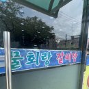 온니산오징어