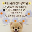 인동16길-3 이미지