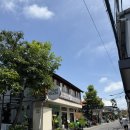 부다파이 | ［ 발리 / 짱구 ] 여자혼자여행 발리 마트 쇼핑 프리미엄 유기농 Bali Buda 발리부다