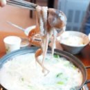 동탄백합칼국수 이미지